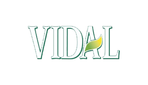 vidal_logo